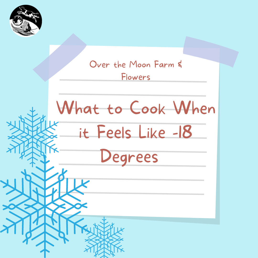 What to Cook When it Feels Like -18 Degrees