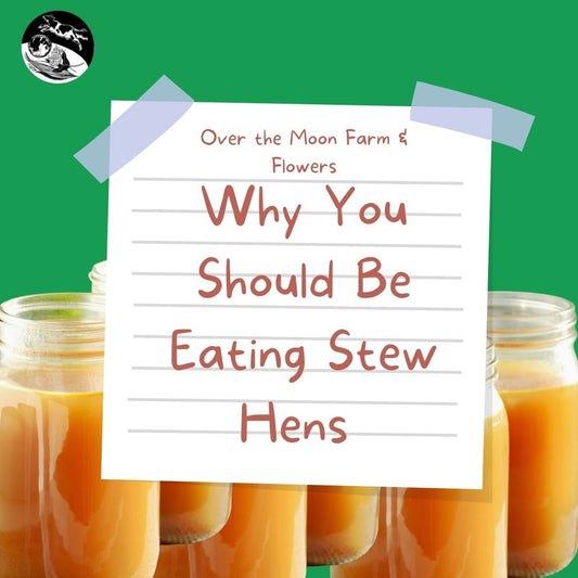 Why You Should Be Making Stock with Nutrient Dense Stew Hens