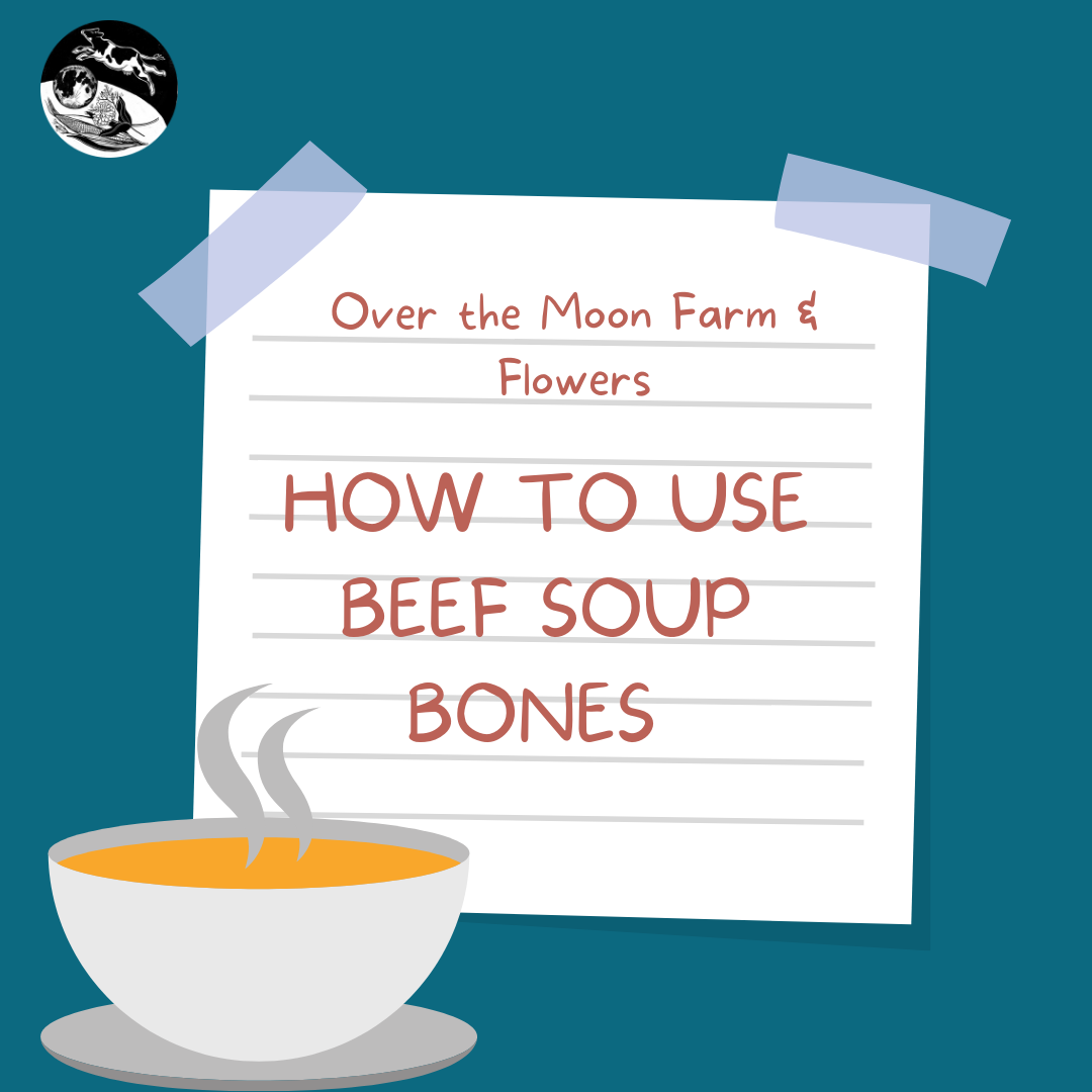 How to Use Beef Soup Bones