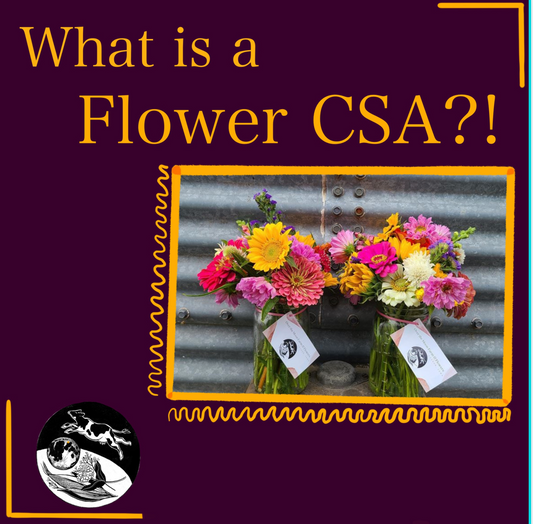 What is a Flower CSA?