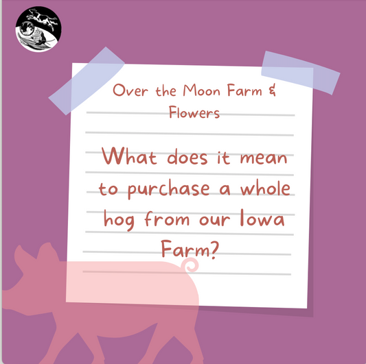 What Does it Mean to Purchase a Whole Hog from Our Iowa Farm?!