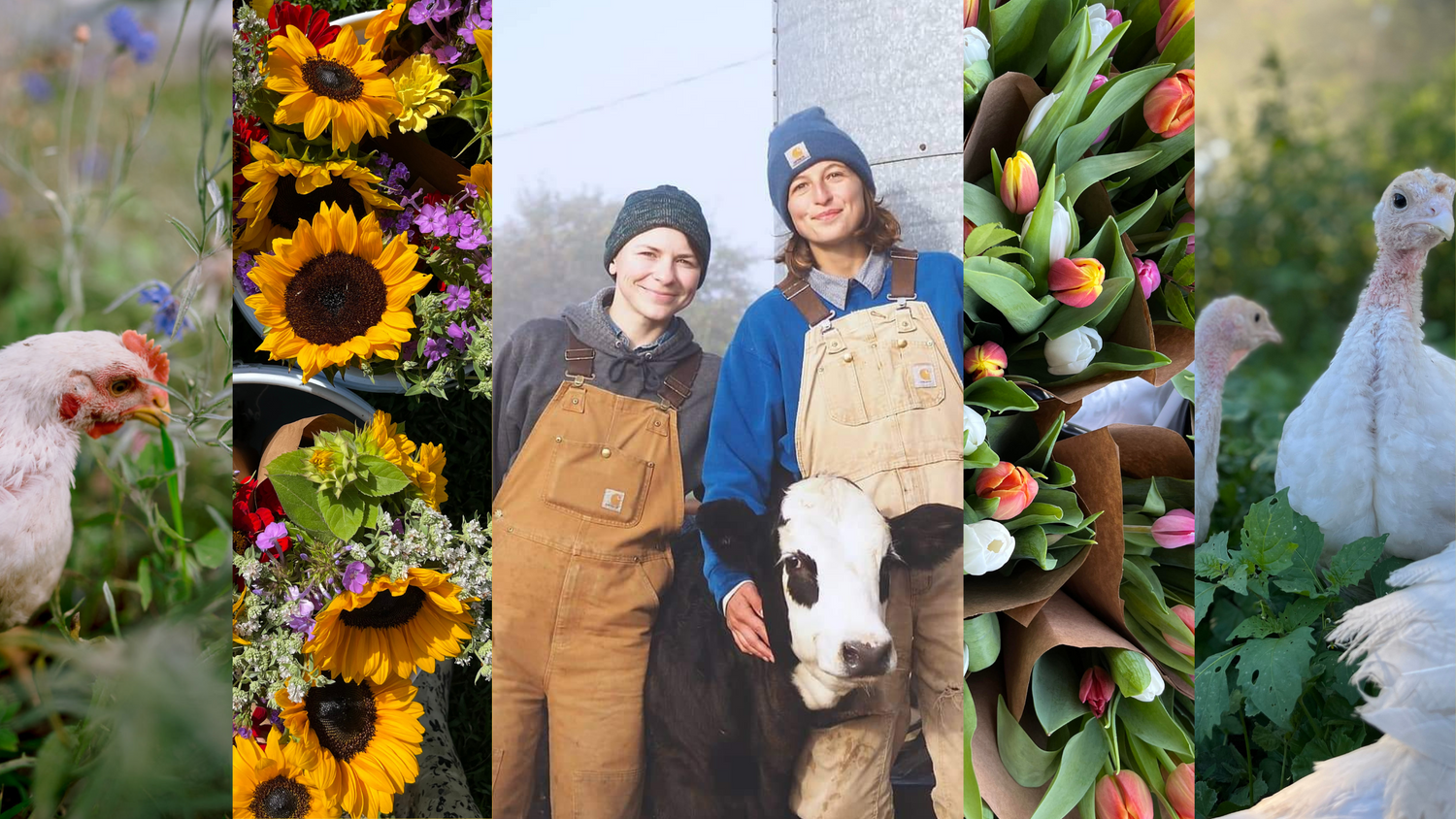Collage of pasture raised chicken and turkeys, bouquets of tulips, bouquets of sunflowers, and two young women farmers standing with a black and white steer